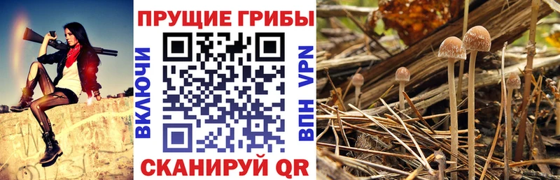 Галлюциногенные грибы мухоморы Мончегорск